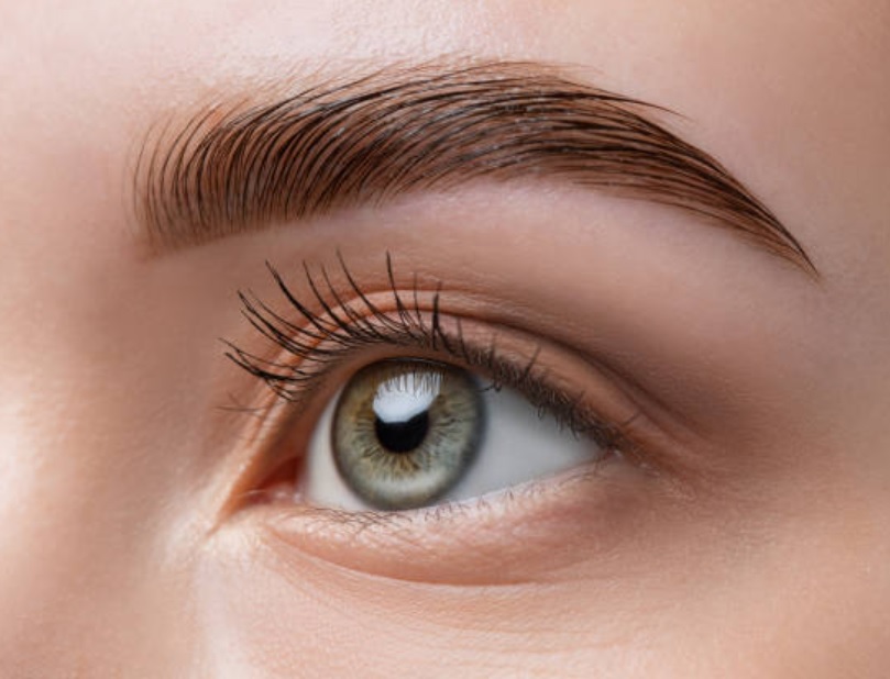 Brow Shape