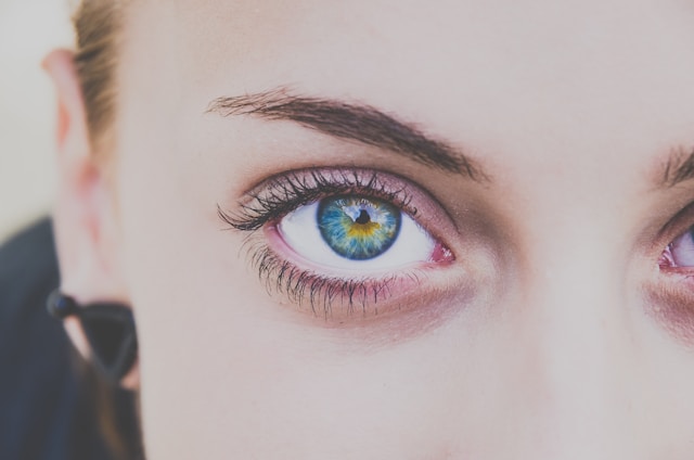 Lash & Brow Tint